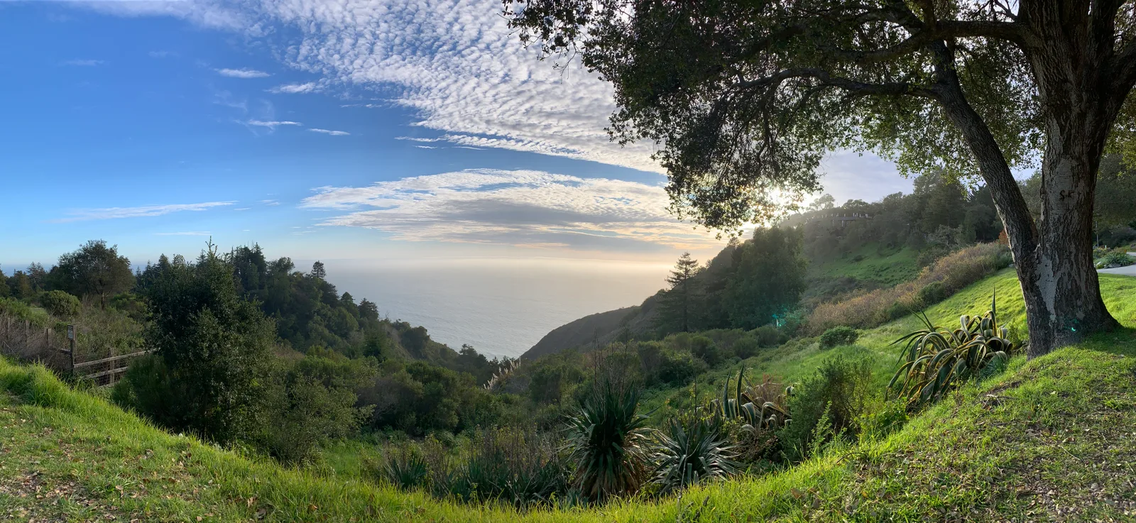 Sunlight over green coastal hills and the ocean