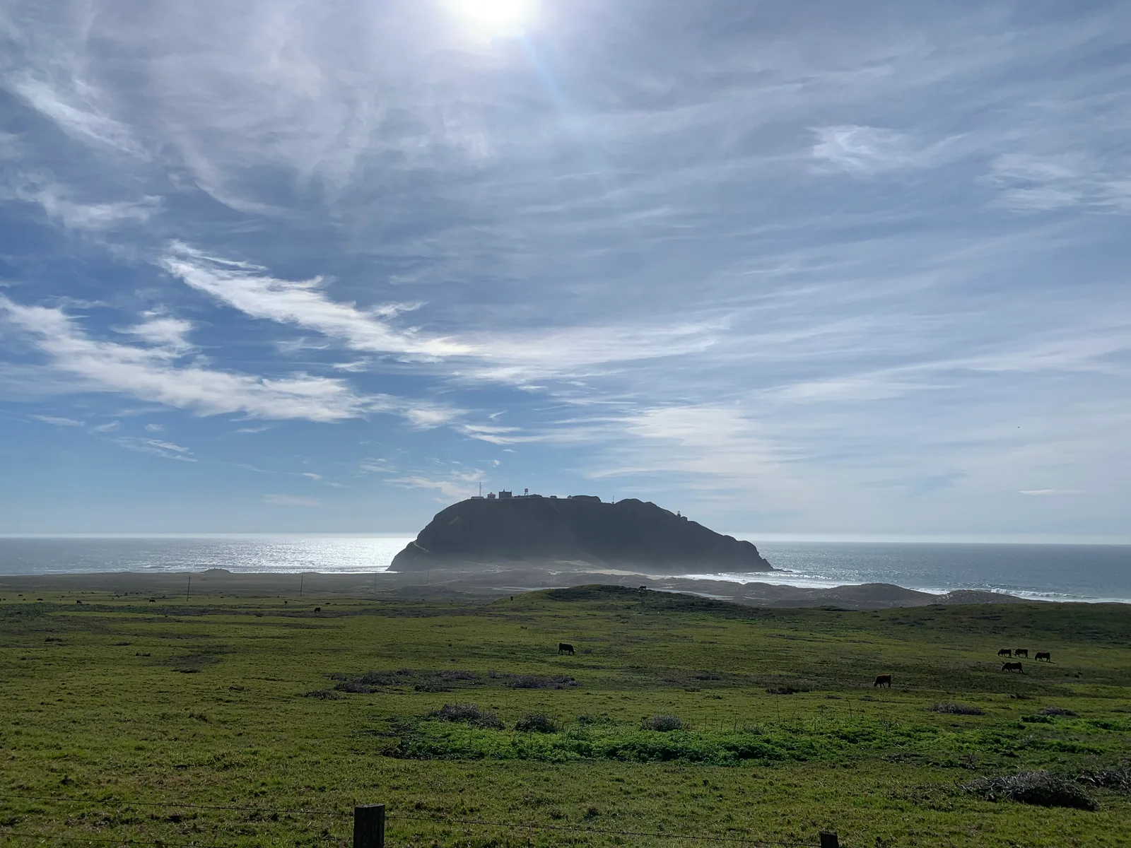 Coastal pasture beneath a wide, cloud-filled sky