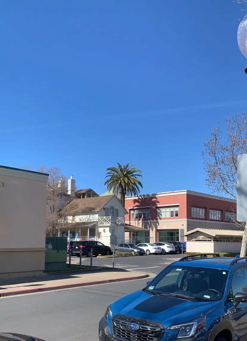 Palm trees and buildings along a neighborhood street