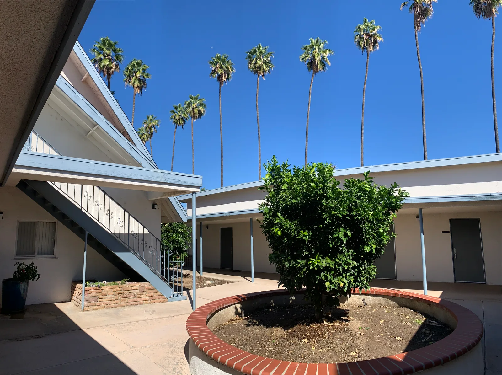 A welcoming courtyard framed by palms