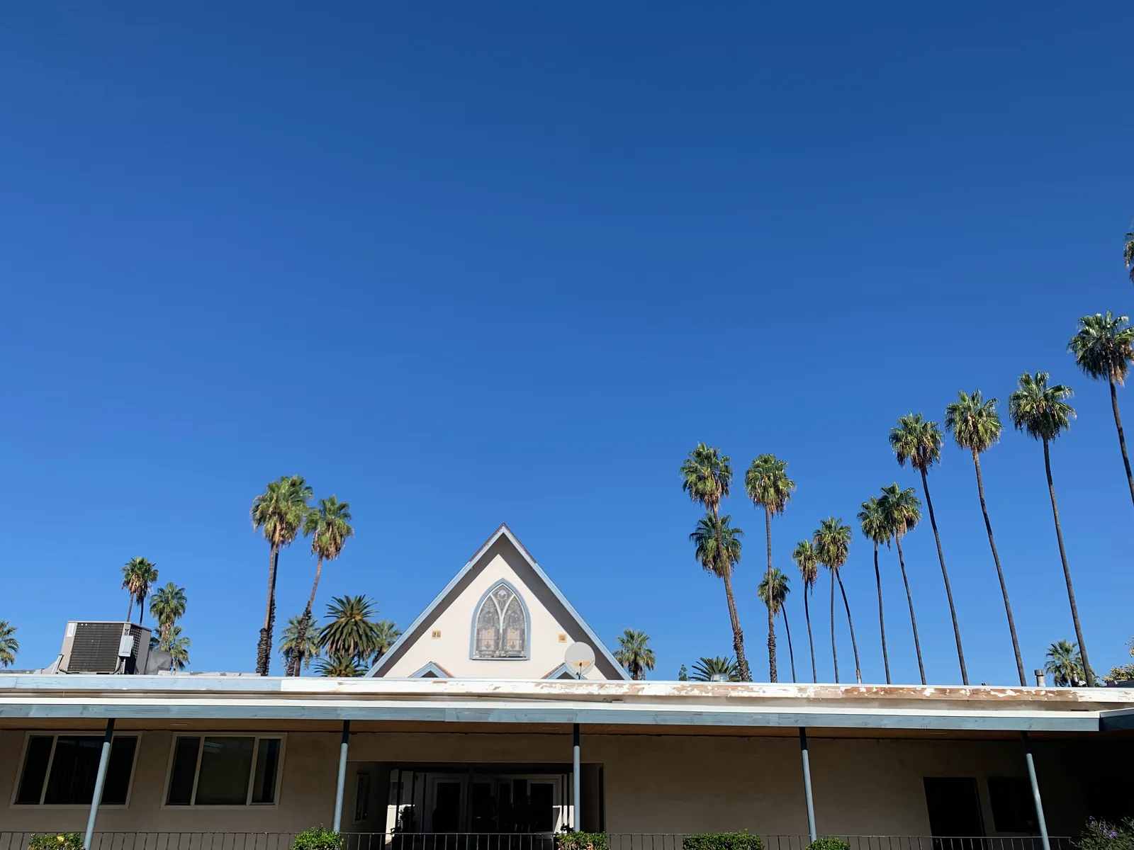 A peaked roof and palms against a clear sky